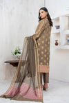 PRISHA-3 Pc Unstitched Broshia Cotton